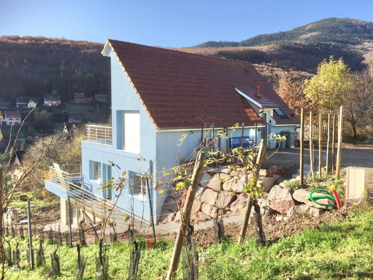 Apartamento Janea Big Blue House Reichsfeld Exterior foto